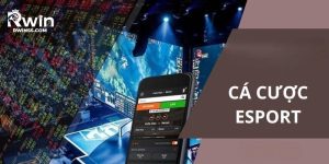 cá cược esports