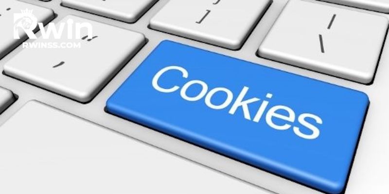 Quy định thu thập thông tin người dùng trong chính sách