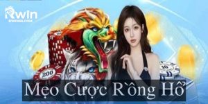 mẹo cược rồng hổ