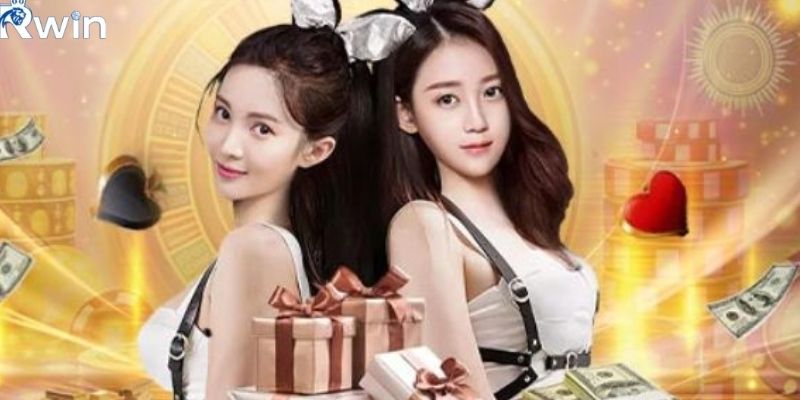 Nền tảng được thiết kế để phục vụ nhiều nhóm người chơi